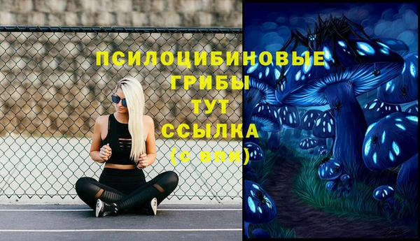 хмурый Ладушкин