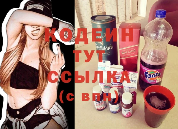 хмурый Ладушкин