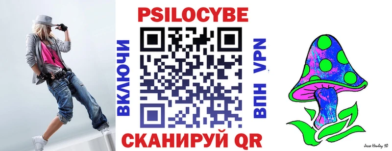 Псилоцибиновые грибы Psilocybine cubensis Чадан
