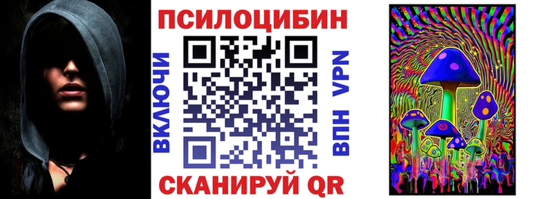 Псилоцибиновые грибы мицелий  Чадан 